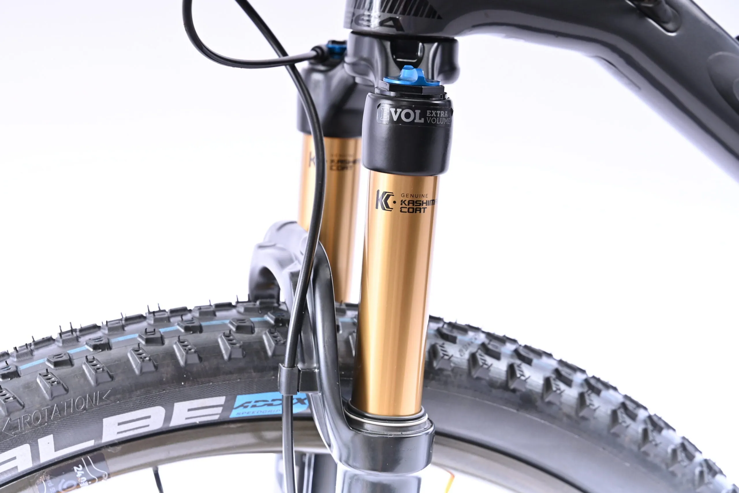 2019 Orbea Alma M  Mountain Bike - Large